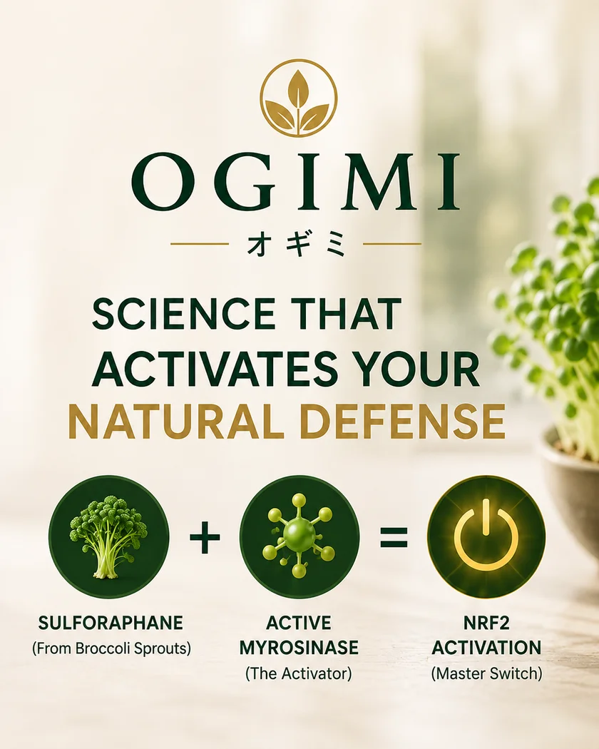 Science that activates your natural defense: sulforaphane from broccoli sprouts plus active myrosinase, the activator, equals NRF2 activation, your body's master switch.